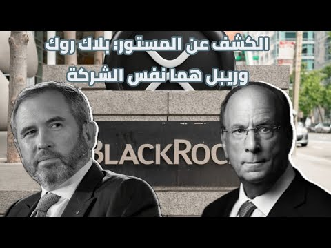 الكشف عن المستور بلاك روك وريبلXRP هما نفس الشركة وثائق مسربة تفضح اللعبة