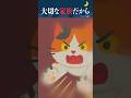 ㊗️11万▶️夫のことが大好きな、ネコのチーコ。