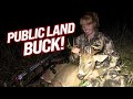 Public Land BUCK DOWN! (Opening Weekend Success!)