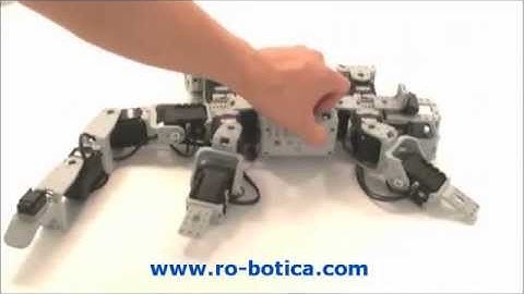 Robot Lagarto con ROBOTIS Bioloid Premium en RO-BOTICA.com