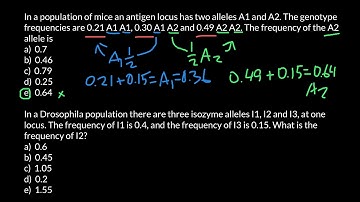How to Find Allele Frequency?