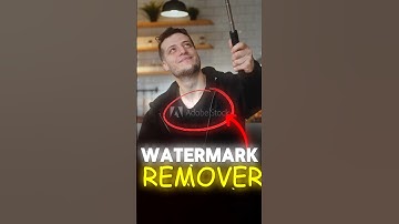 Remove Watermark From Photos And Videos
