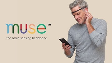 IOT ALONE PROJECT: MUSE