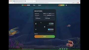 Step-by-Step Guide: Creating a Liquidity Pool on NemoSwap DEX