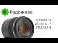 Обзор YONGNUO 25mm 1:1.7 STM ASPH, модель YN25mm F1.7M для камер системы Micro 4/3