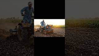 India ka Sabse Smart Farmer Jugaad! 😱 Result Dekhke Hairaan! 🔥 #shorts #farming