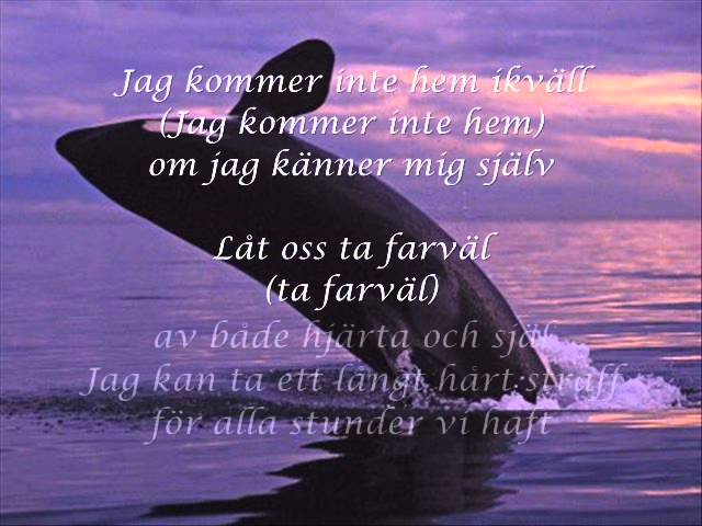 Martin Stenmarck - sjumilakliv (Lyrics) akkorde