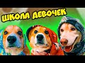 ТРЕЙЛЕР - МЫ СНОВА СТАЛИ ДЕВОЧКАМИ и ПОШЛИ В ШКОЛУ!! Хаски Бублик Говорящая собака Mister Booble