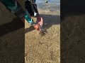 Pani Ke Neeche Chupa Hua Ajooba! 🌊🐚 | Amazing Deep Sea Discovery