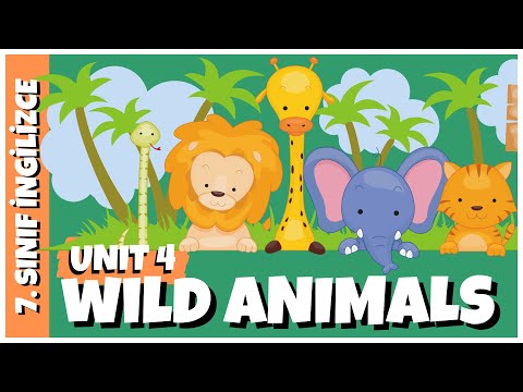 7. Sınıf İngilizce 4.Ünite | WILD ANIMALS | Ünite Kelimeleri, Quiz ve Konu Özeti +PDF