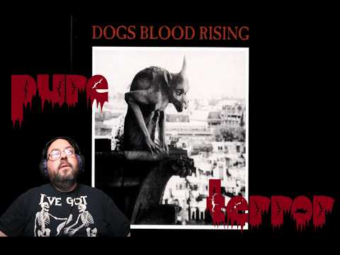 Current 93 - Raio No Terrasu (Jesus Wept)  First time Hearing | REVIEWS AND REACTIONS