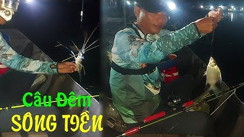 🦐Fishing 153🐟Câu Tôm, Cá Dảnh Sông Tiền Ban Đêm Làng Bè Bình Thạnh Và Cái Kết🐟