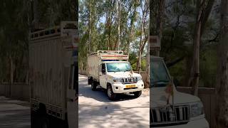 25 April 2026 #bollywood #hunter350sound #entertainment #automobile #rider #vlog #music #motorcycles