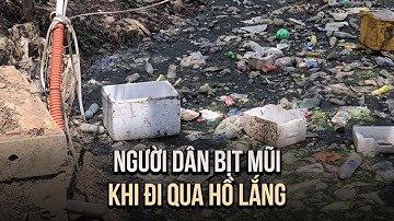 Hồ lắng cạnh hồ Xuân Hương Đà Lạt ô nhiễm nghiêm trọng