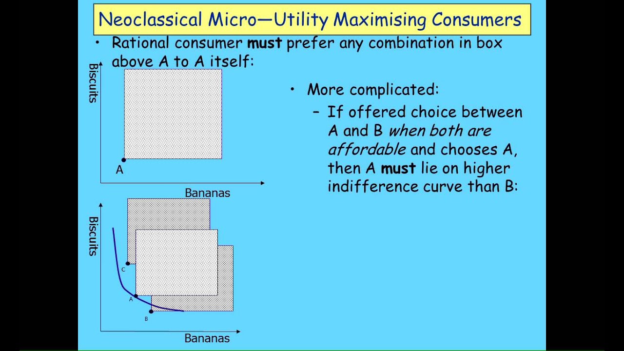 Keen Behavioural Finance 2011 Lecture01 Economic Behaviour Part 1