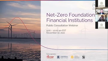 Net-Zero Foundations for Financial Institutions: Public Consultation Launch