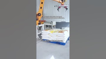 Industrial automation and smart manufacturing have become mainstream. #palletizer #factory #machine