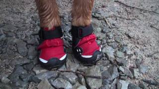 ruff wear booties