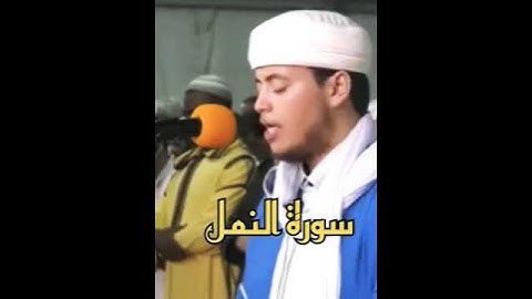 سورة النمل 🐜 تلاوة رائعة للشيخ الياس حجري #القرآن_الكريم #راحة_نفسية #تلاوات