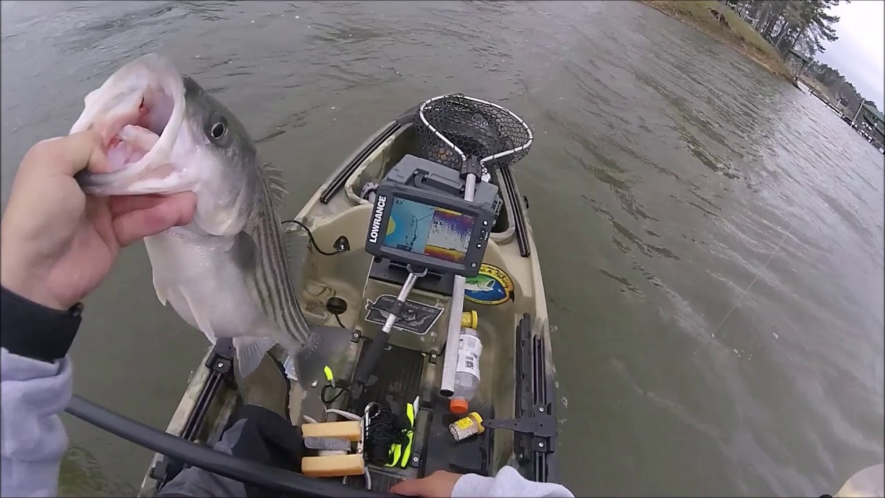 32418 Kayak Striper Fishing YouTube