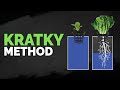 How to Set Up The Kratky Hydroponics Method (Tutorial)