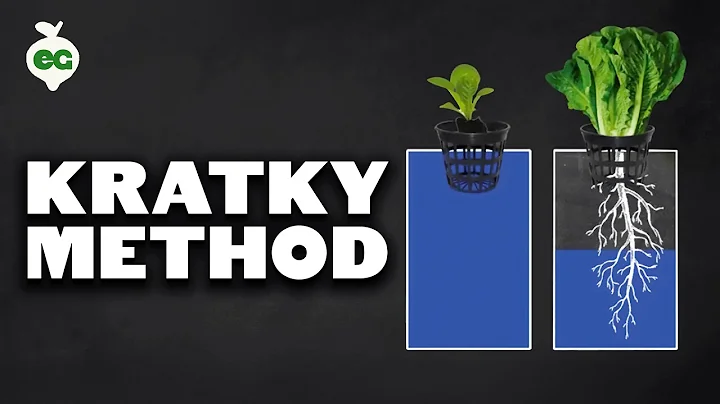 How to Set Up The Kratky Hydroponics Method (Tutorial)