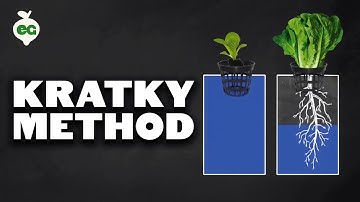 How to Set Up The Kratky Hydroponics Method (Tutorial)