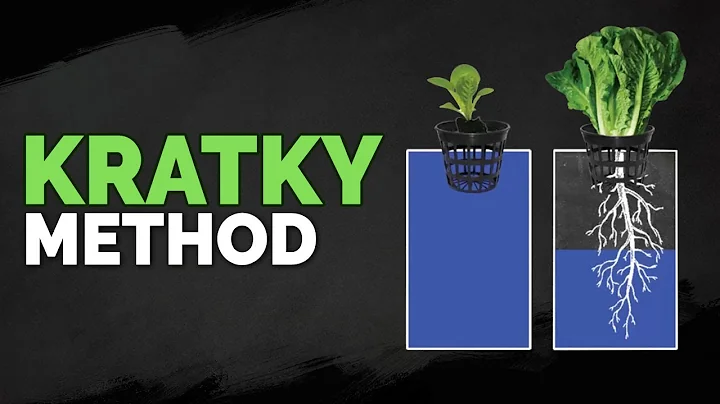 How to Set Up The Kratky Hydroponics Method (Tutor...