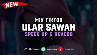 Mix TikTod - Ular Sawah ( Speed Up & Reverb ) 🎧