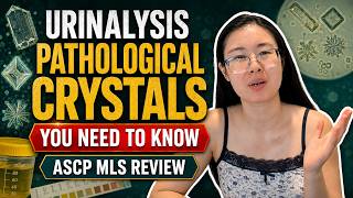 ASCP MLS Urinalysis Review (Part 3): Pathological Crystals You Need to Know