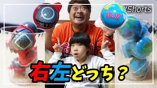 【右左どっち】選んだら罰ゲームｗ『地球グミ?』VS『イカゲームグミ?』で、こうなった…ｗ (娘ver.)【#Shorts】