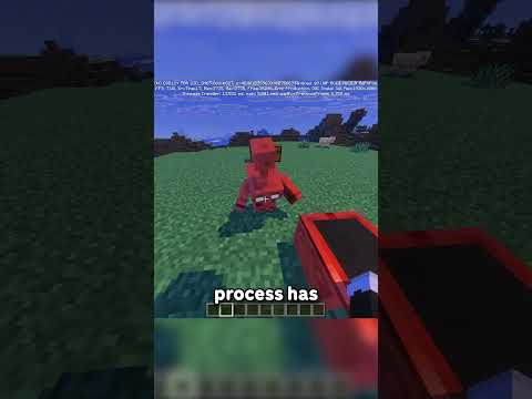 Mojang Forgot Something