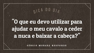 O que eu devo utilizar para ajudar o meu cavalo a ceder a nuca e baixar a cabeça? [DICA DO DIA]