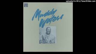 Muddy Waters - Rollin' Stone