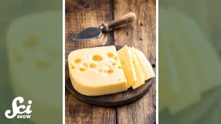 Why does Swiss cheese have holes? #shorts #science #SciShow