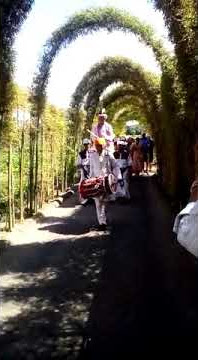 Pentas Kendang wedding India dari Putu Diaz Arjuntara