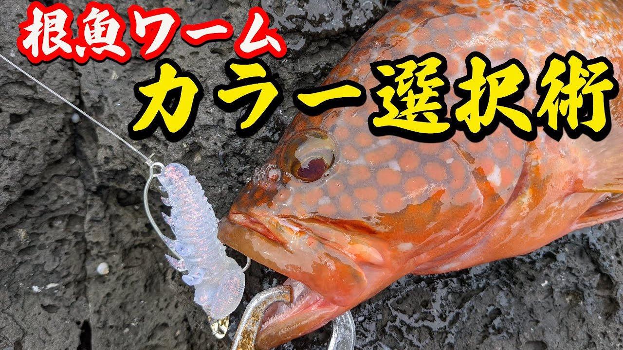 根魚攻略 ロックフィッシュワームカラーローテーションで爆釣 ハタ喰い蟲 でカラーローテ術 初心者必見 Youtube 根魚攻略 ロックフィッシュワームカラーローテーションで爆釣 ハタ喰い蟲 でカラーローテ術 初心者必見 Youtube