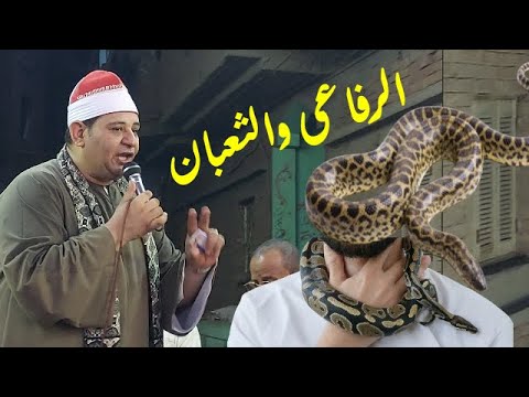 الشيخ على العربى من قصة الرفاعى والثعبان من مولد المنشاوى بكفر حسن سعد