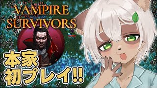 【Vampire Survivors】怪奇旅団を極めたタヌキの本家初プレイ！【#Vtuber】#vampiresurvivors