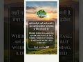 morning message #motivation #tips #trending #motivational #facts #shorts #short