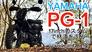 PG-1] I upgraded it to 17 inches, so I took it for a test ride on