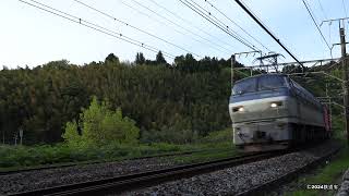 【4K 60P】東海道線　EF66 100番代　貨物遅2038ﾚ　米神　20240420