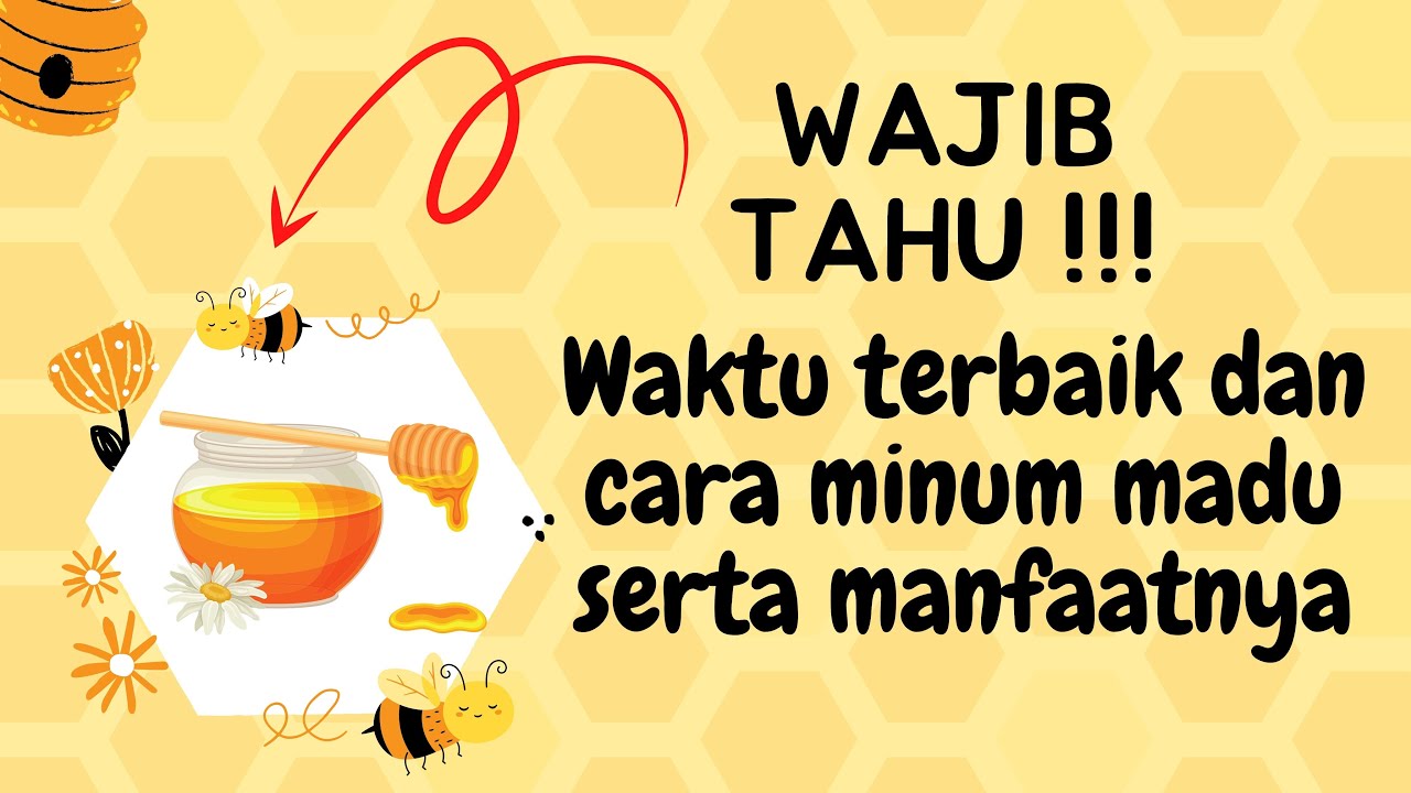 Wajib Tahu Waktu Terbaik Dan Cara Minum Madu Serta Manfaatnya Youtube