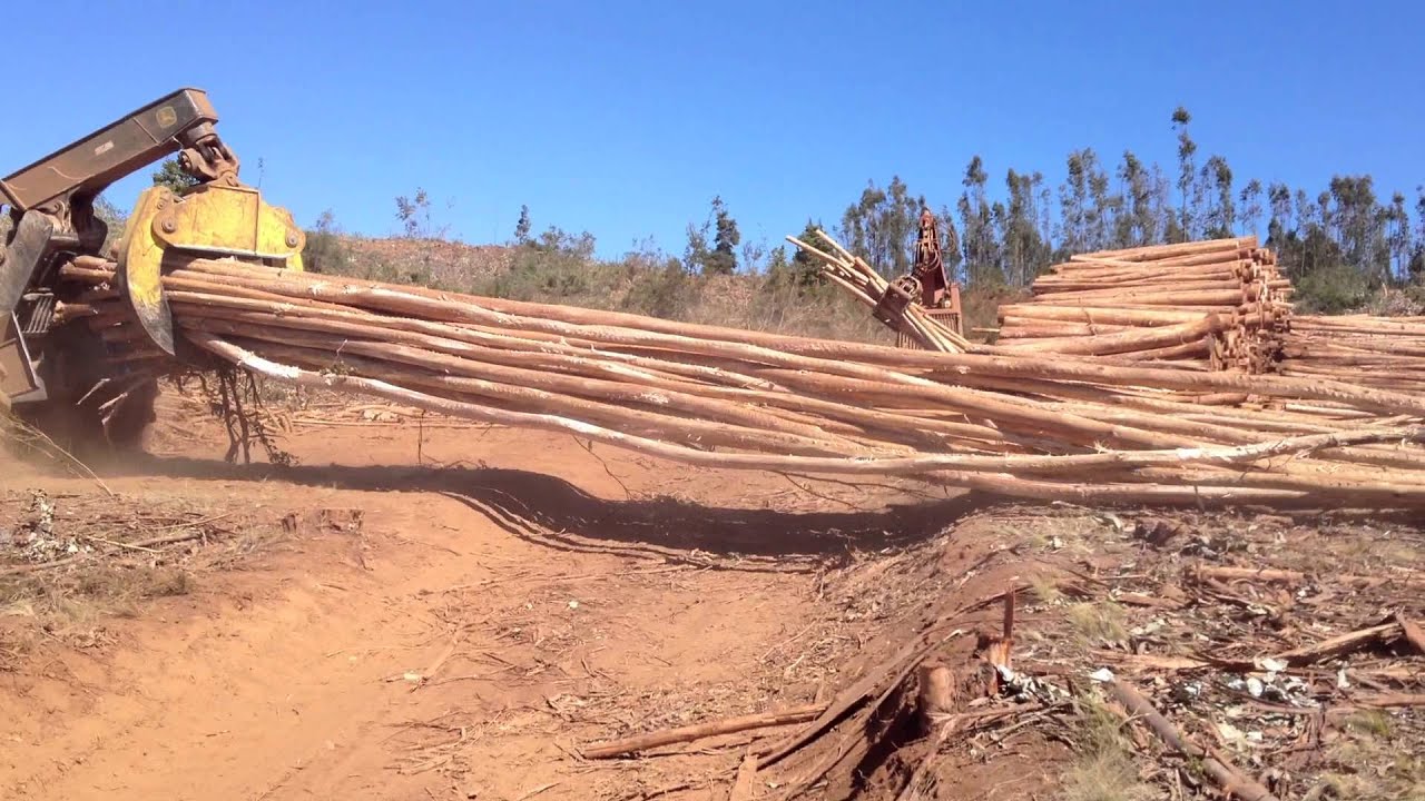 Skidder John Deere 648H en faena forestal