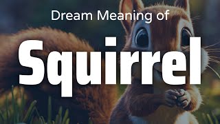 Squirrel Dream Meaning & Symbolism | Interpretation Psychology Wealth