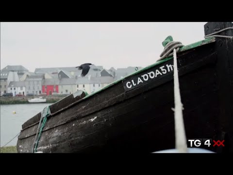 FÃ¡inne Geal An Lae / The Dawning Of The Day | Trad TG4 - TG4's Irish Traditional Music channel