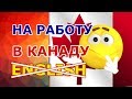 Найти работу в Канаде с плохим английским. Рабочая виза в Канаду. Учить английский, работа и ПМЖ