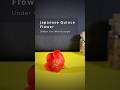 Japanese Quince Flower Under the Microscope
