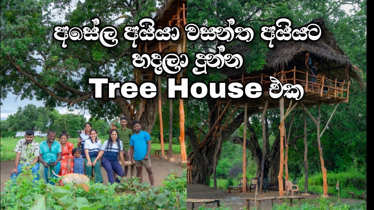 වසන්ත අයියගෙ වාඩි⁣⁣යේ අලුතින් ඉදිවුණු TREE HOUSE එක 🌳❤️. @SLTravelTasty @islandfishing