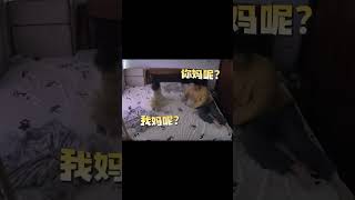 我太難了,每天睡覺像渡劫。#家庭日常#被窩裡的小可愛